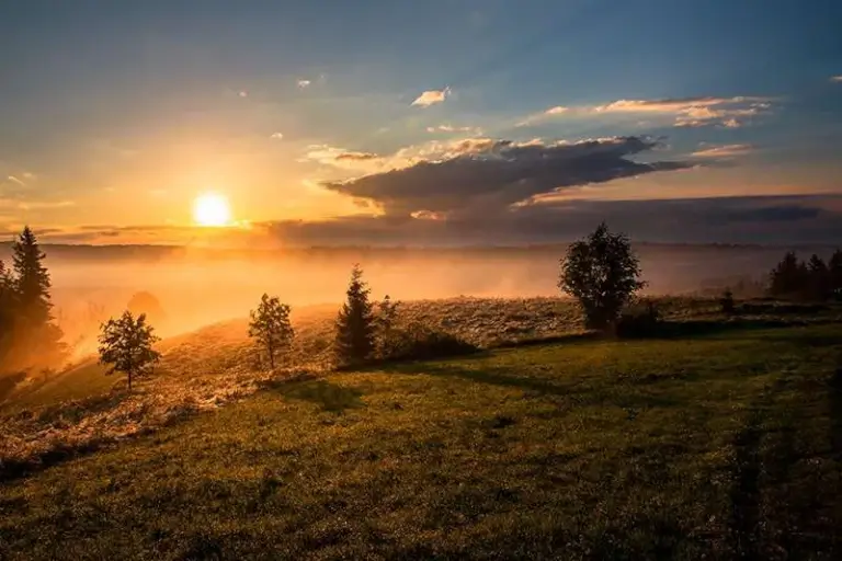 starring at the sun